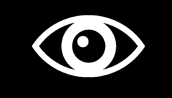 Phone eye - logo